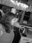 DSC03907