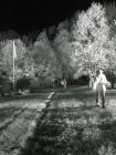 DSC04071