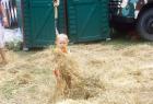 hay01