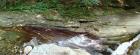 Rock Run Panorama 7