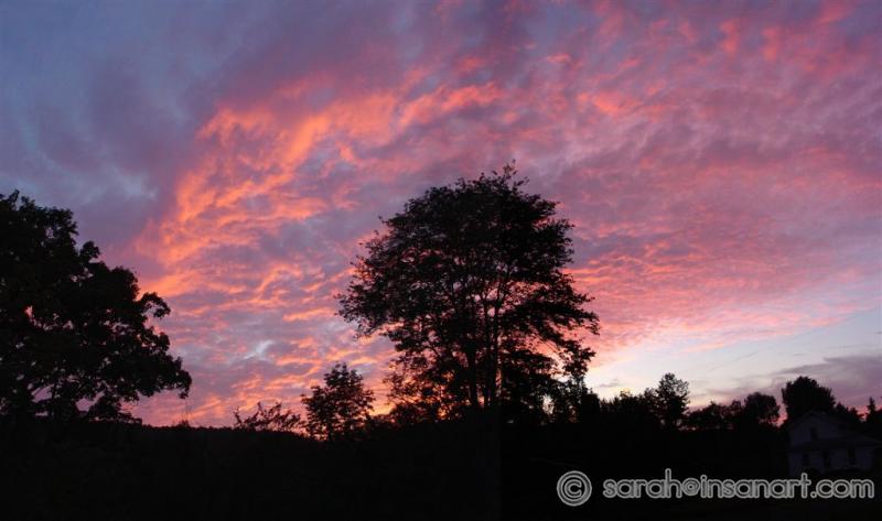 Front Yard Sunset 1, 2005