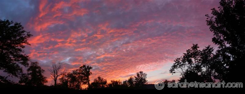 Front Yard Sunset 2, 2005