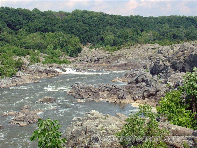DSC08900