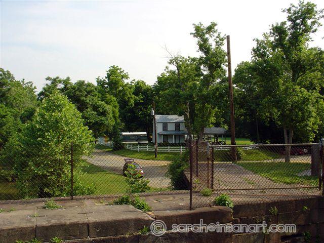 DSC08906