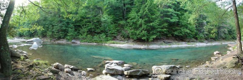Tioga River @ Pirates Rock Pana