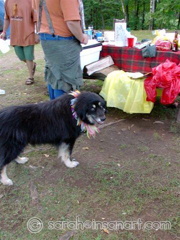 dDSC00360