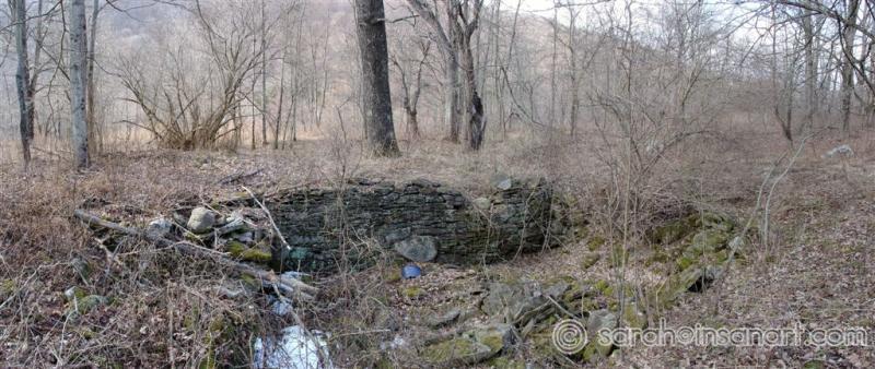 Landrus Foundations Pana 2