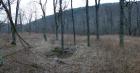 Landrus Foundations Pana 3
