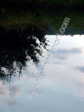 DSC09263