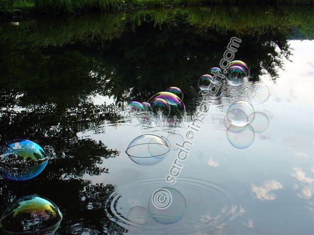DSC09284