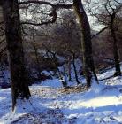 img113