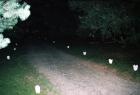 R3-1(18)copy