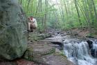 Rock Climbing