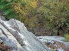 DSC01809