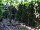 Stony Fork Rocks, Stony Fork, PA