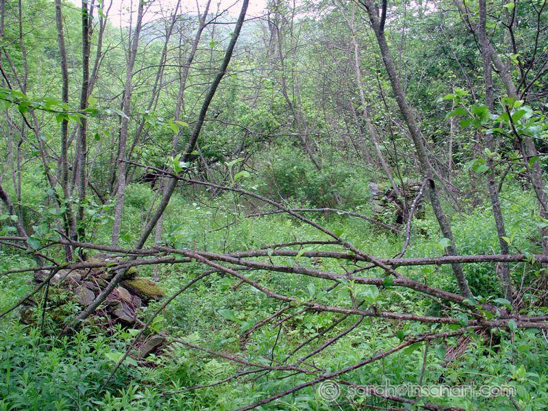 Porch supports @ "Water Garden" 3