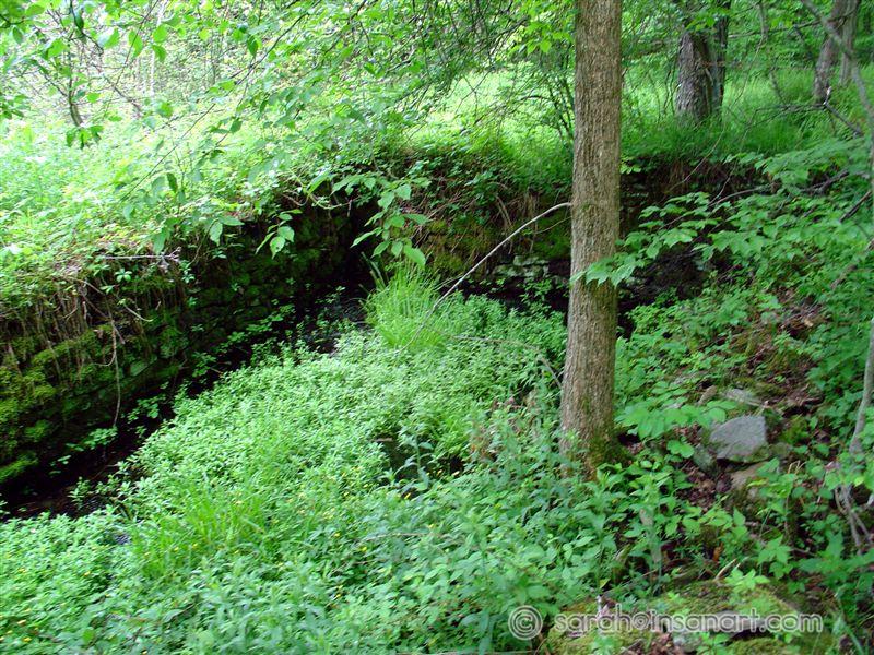 "Water Garden" foundation 4