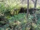 "Water Garden" foundation 2