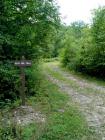 Bear Run Trailhead