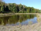 Settling Pond @ Mines 2