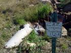 Pond Outlet @ Mines