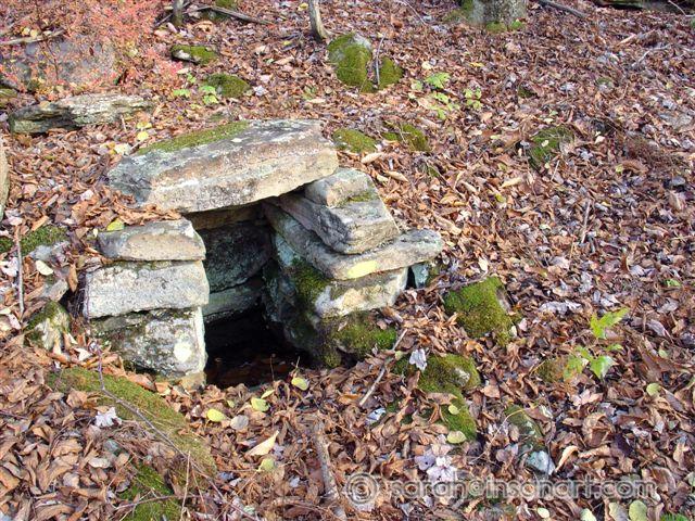 Springhouse