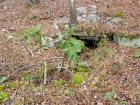 Springhouse