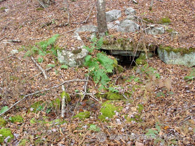 Springhouse