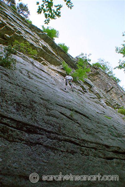 DSC00152