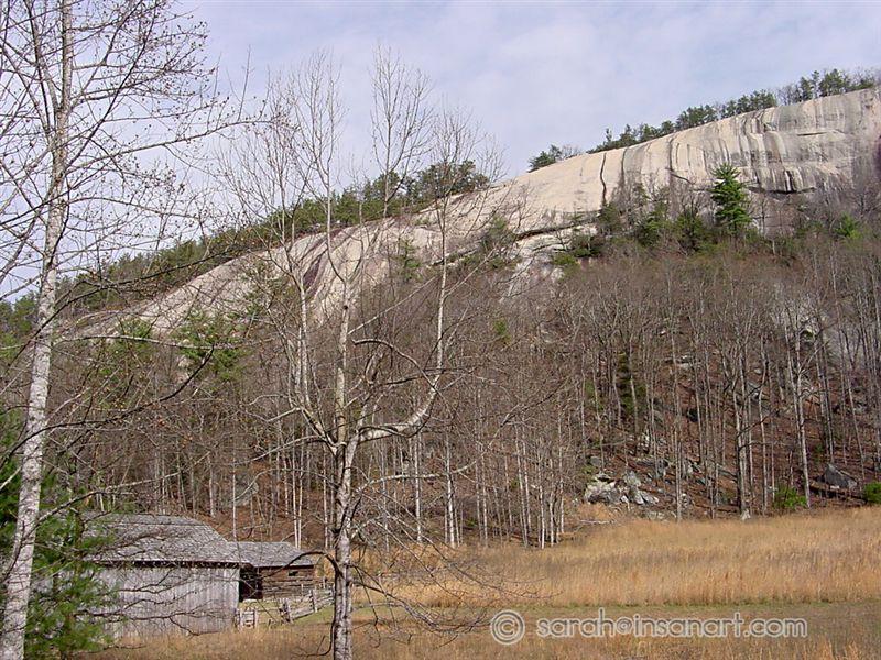 DSC00008