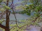 DSC00019