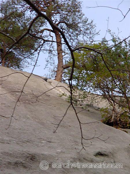 DSC00034