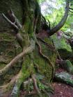 Panama Rocks, NY