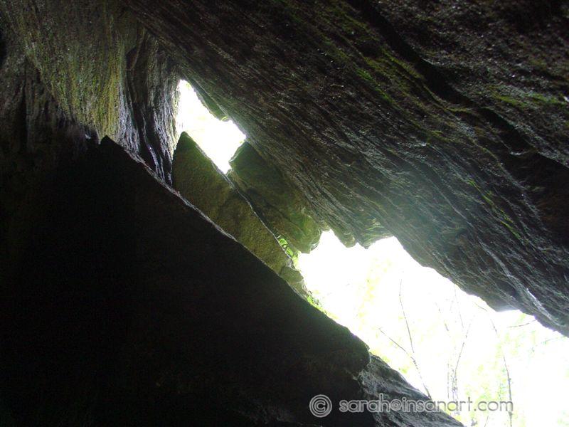 DSC00616