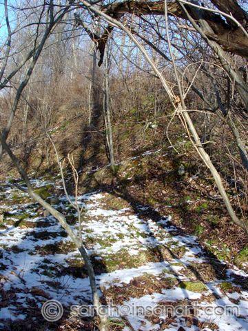 Old Rail Grade w/ties