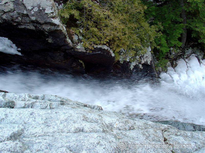 DSC07323