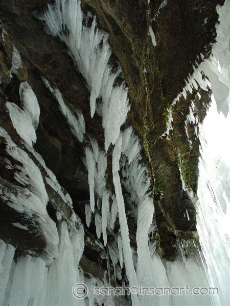 DSC06850