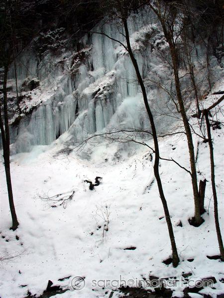 DSC06950