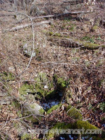 Springhouse