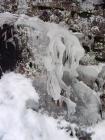 DSC00071