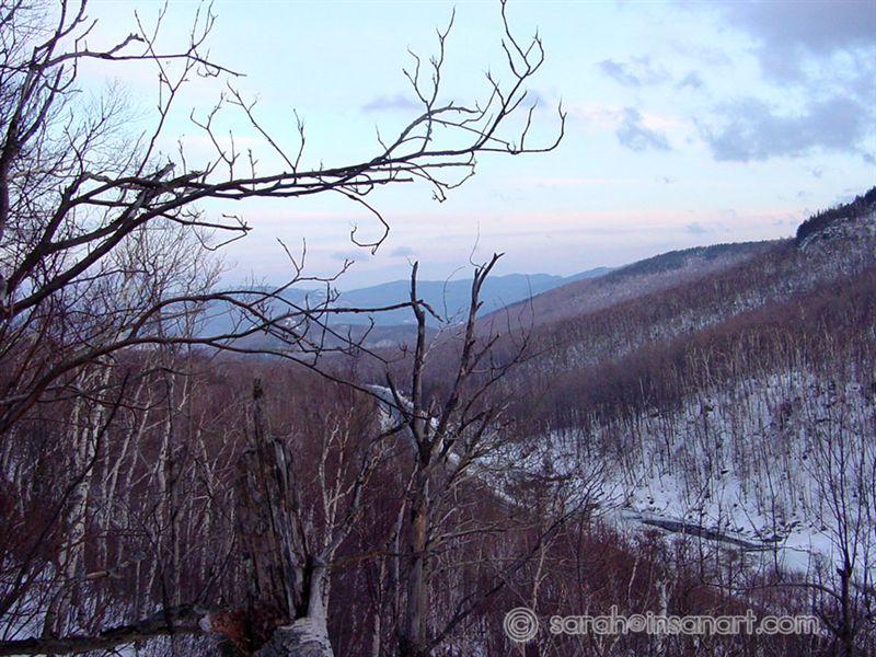 DSC00097
