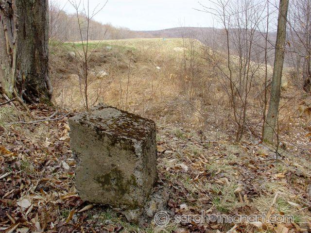 DSC07950
