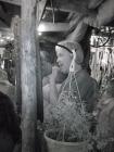 DSC03972