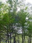 DSC00009