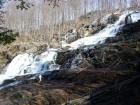 DSC01903