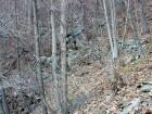 DSC02075