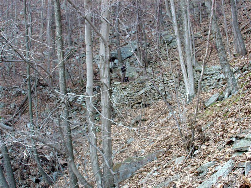 DSC02075