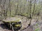 School w/rock