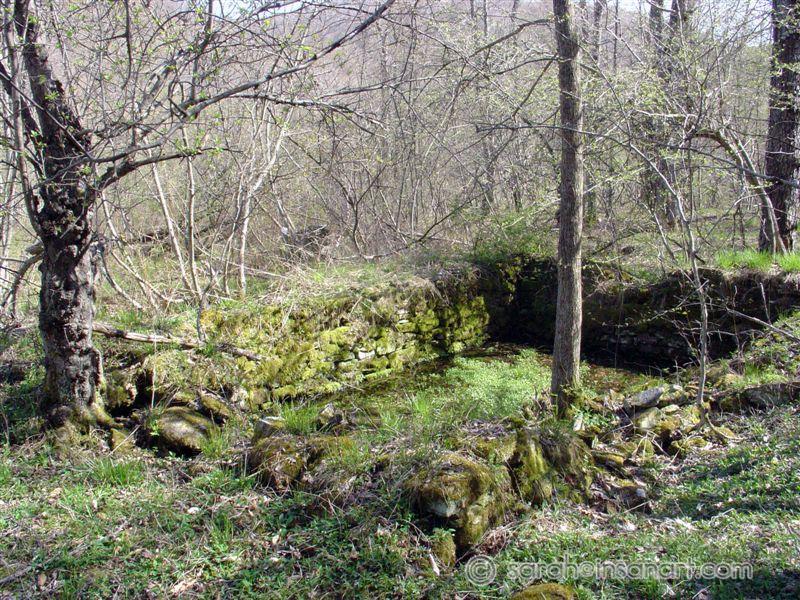 "Water Garden" foundation