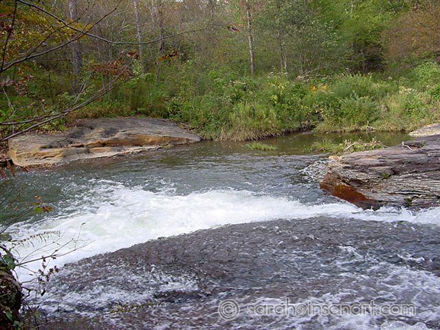DSC00600